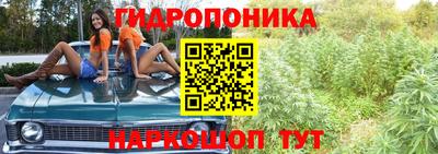 крисы Ливны