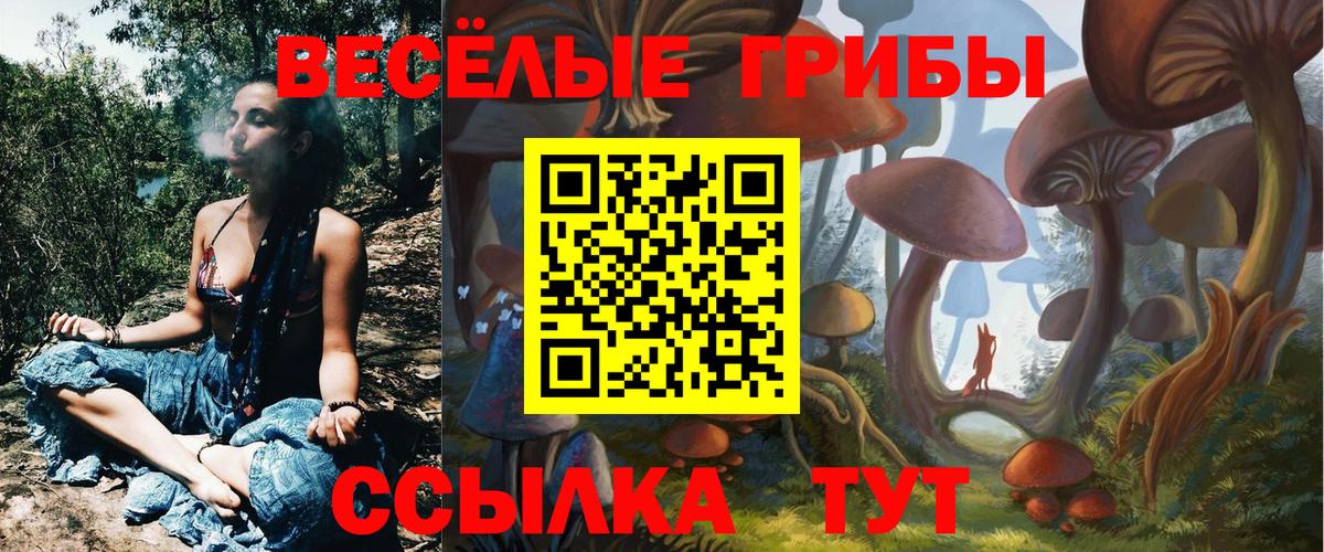 Псилоцибиновые грибы ЛСД Сланцы